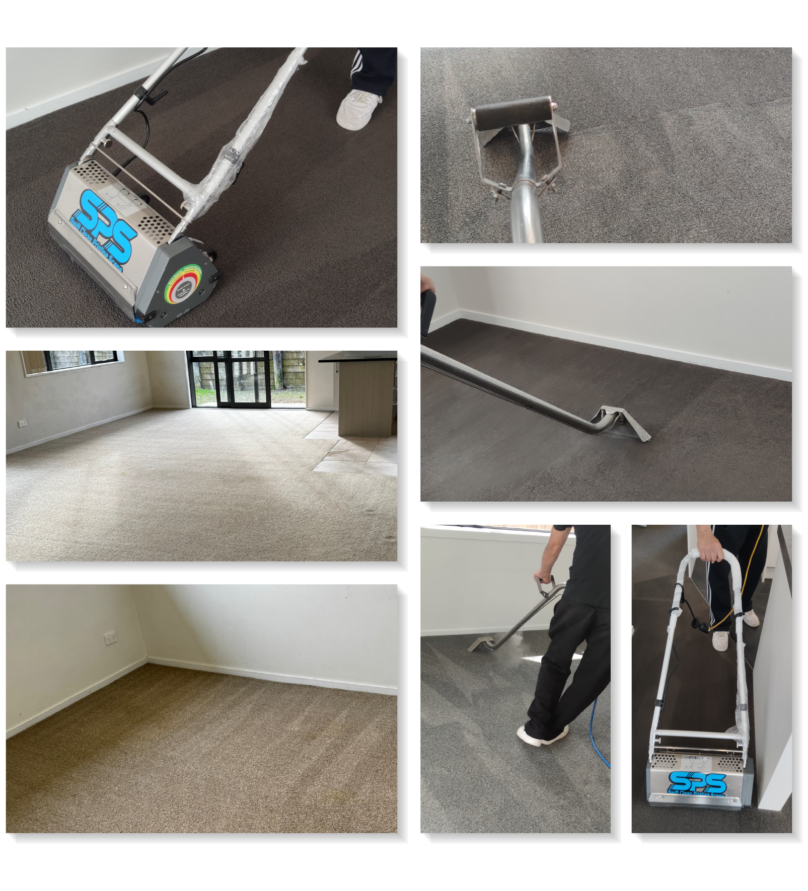 Expert Carpet Cleaning Services in Hamilton