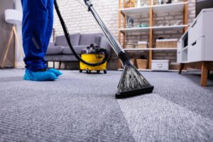 Choose the right carpet cleaning company