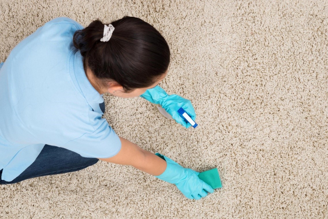 How to Choose the Right Carpet Cleaning Company?